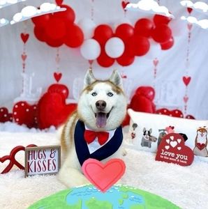 Meet your Posher, Nellis